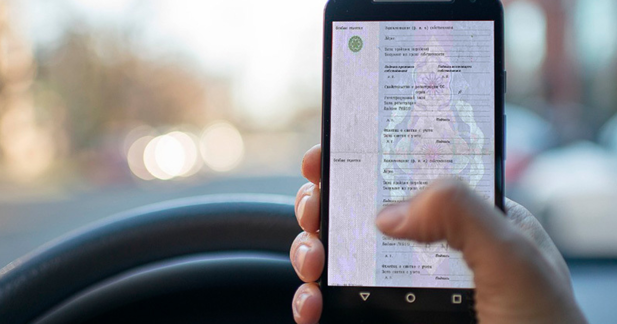 Выписка из электронного птс. Электронный птс образец. Статусы эптс. Электронный птс что это значит. Статусы электронного птс.