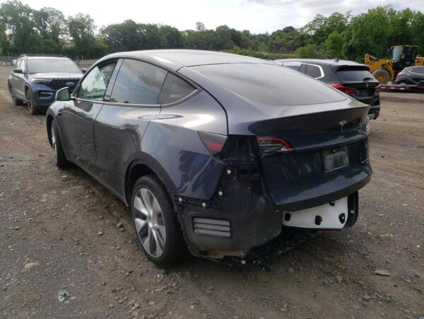 TESLA MODEL Y купить